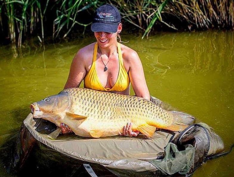 1476 aniko horgaszujsag