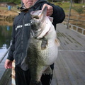 793 big-bass horgaszujsag