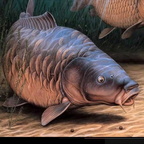 10377609 1489671477950385 5265986744662904080 n