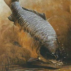 10609541 1448627755412017 4067723182534670659 n