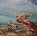 12654257 495140100665474 1070650770766066600 n