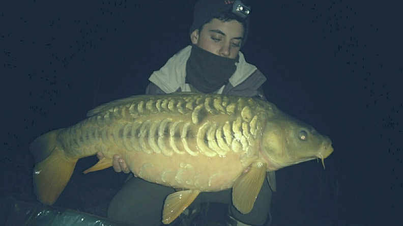 12705594 1686455264977439 4870530608075684124 n