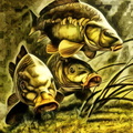 carpas1