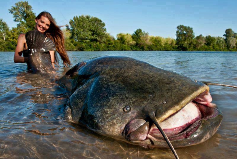 1504 ez-mar-szerelem horgaszujsag