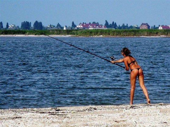 10322777 674655615905328 5903774044995548360 n