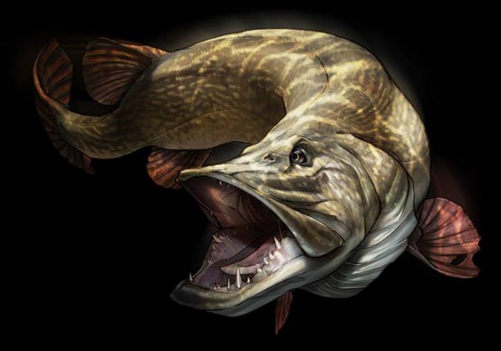 1656145 624743084229307 1594680249 n