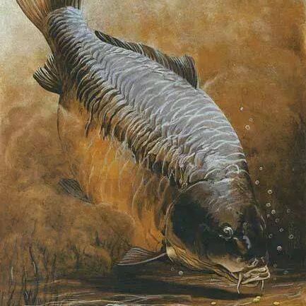 10609541 1448627755412017 4067723182534670659 n