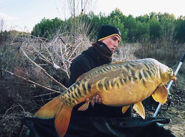 12717490 1040589475982805 2703155714407588500 n